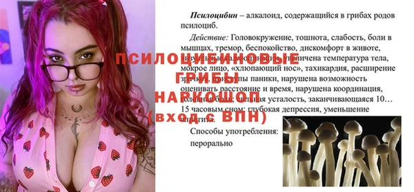 стаф Лихославль