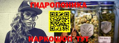 стафф Гатчина