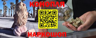 стафф Гатчина