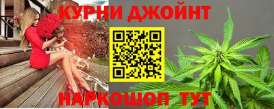 стафф Гатчина