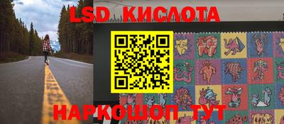 стафф Гатчина
