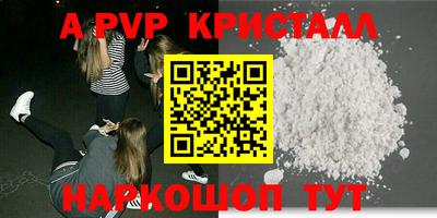 стафф Гатчина