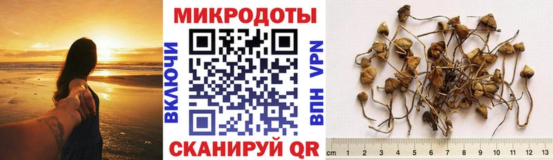 мега ССЫЛКА  Черкесск  Псилоцибиновые грибы Psilocybe  хочу наркоту 