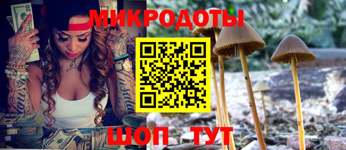 Псилоцибиновые грибы мухоморы Черкесск