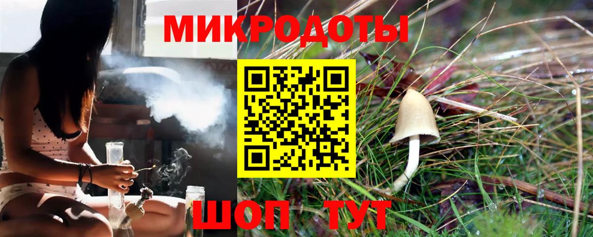 цена наркотик  Черкесск  Галлюциногенные грибы MAGIC MUSHROOMS 