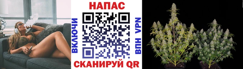 Марихуана марихуана Черкесск
